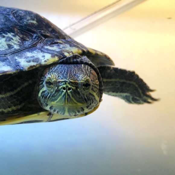 About Me
π³οΈβππππΎπ₯π΄πΆπ¨π½ - Picture 5 of 7